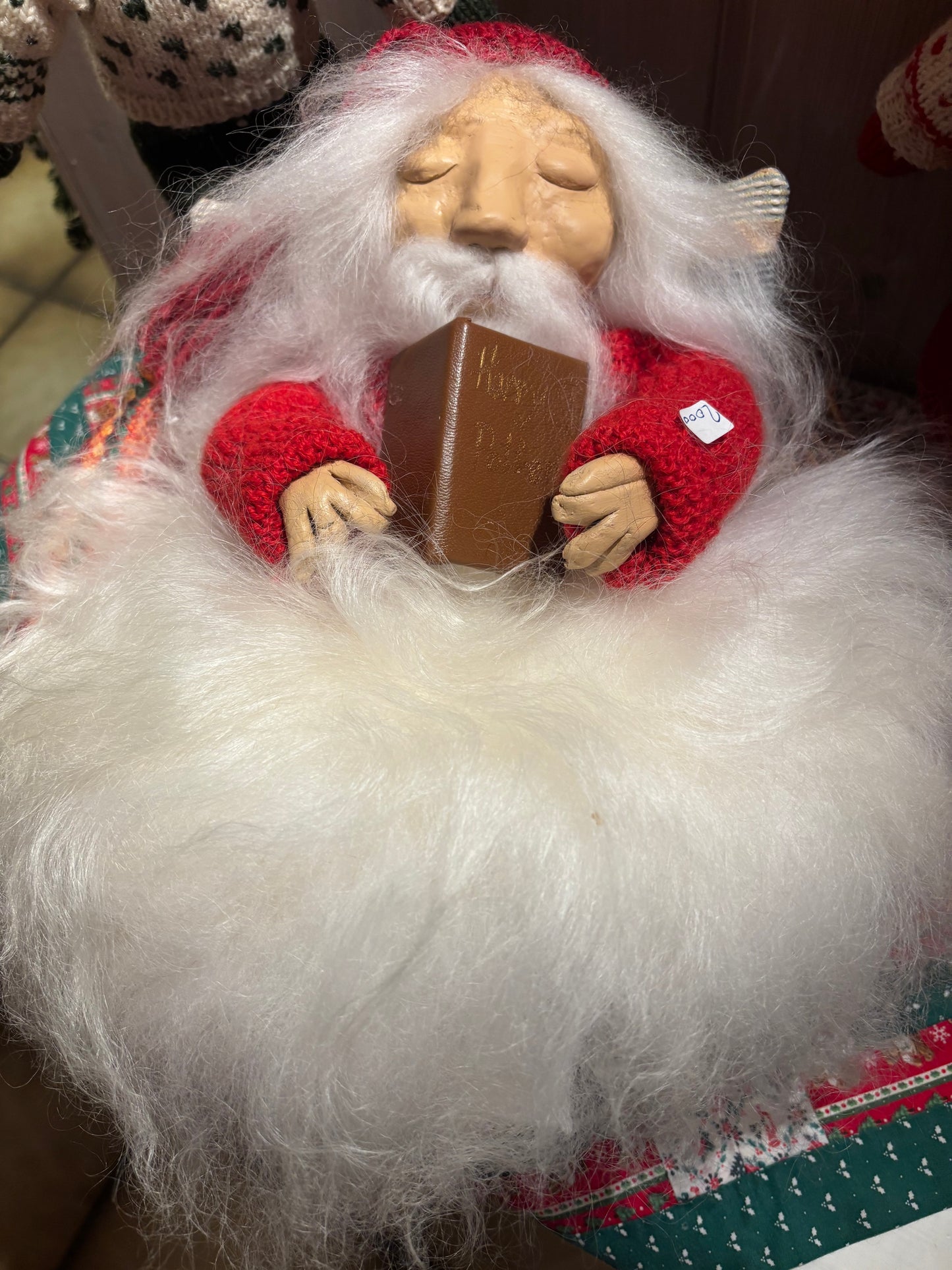 Nisse leser Harry Potter og sovner - unike nisser